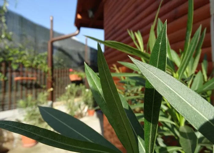 Pensjonat Ivel Saparewa Banja