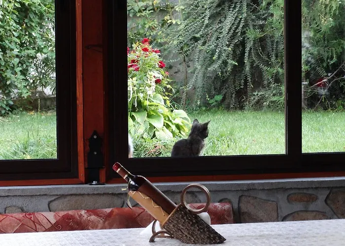 Pensjonat Ivel Saparewa Banja